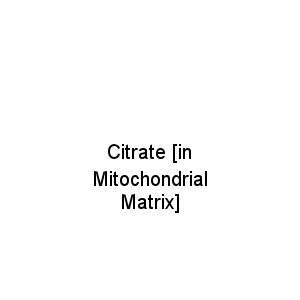 Citrate [in Mitochondrial Matrix]